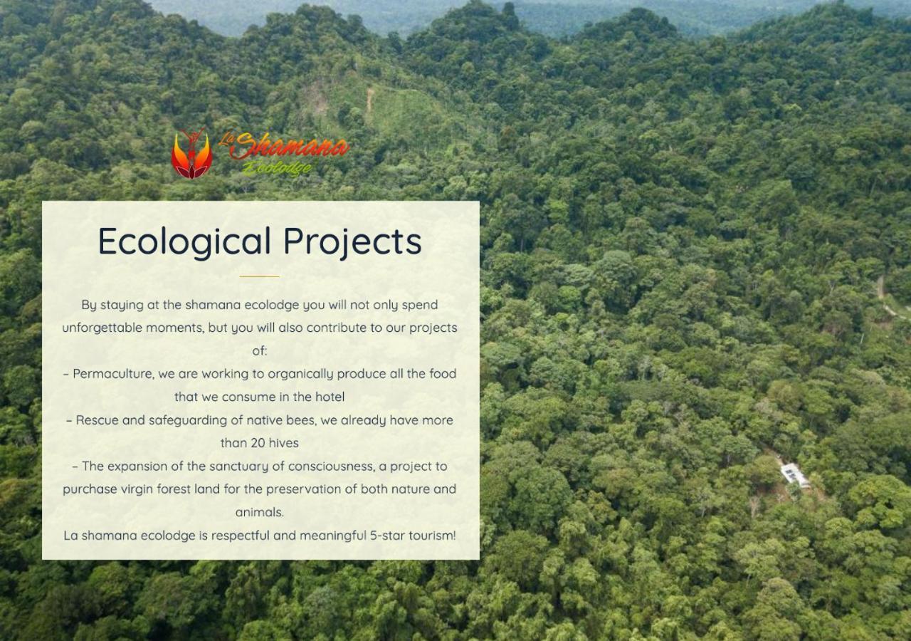 La Shamana - Ecological Concept In Jungle Villa Cahuita Exterior foto