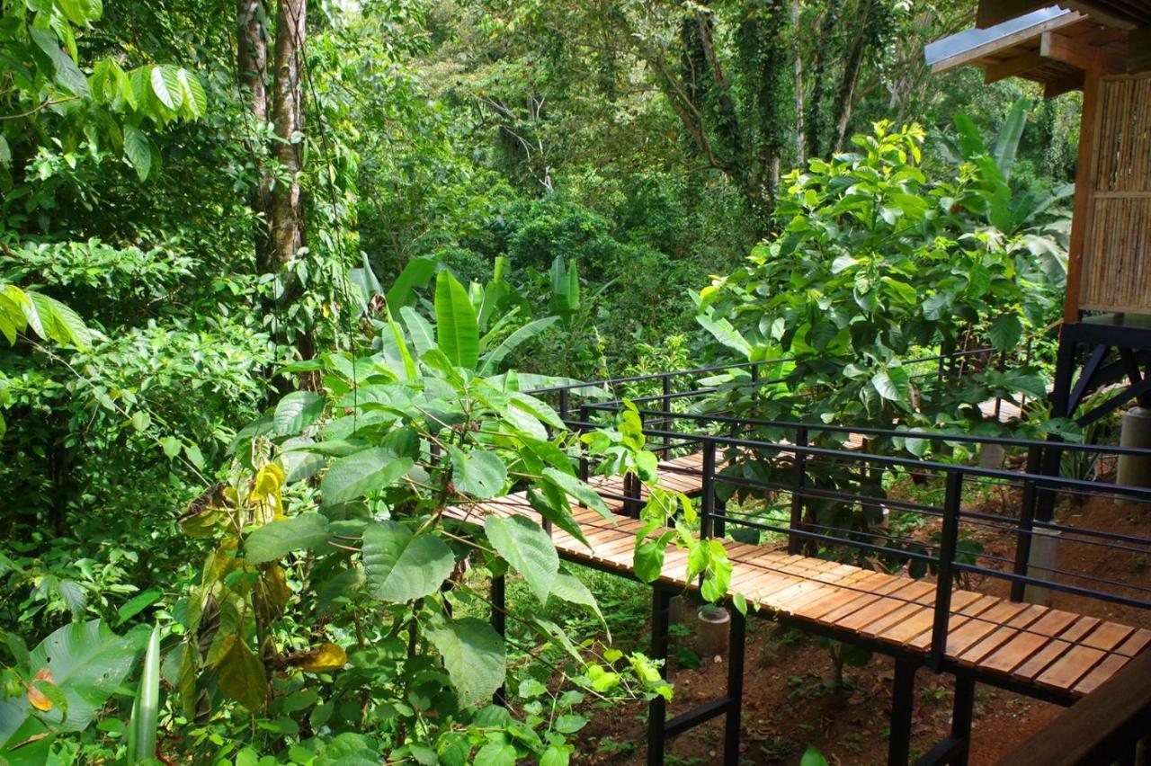 La Shamana - Ecological Concept In Jungle Villa Cahuita Exterior foto