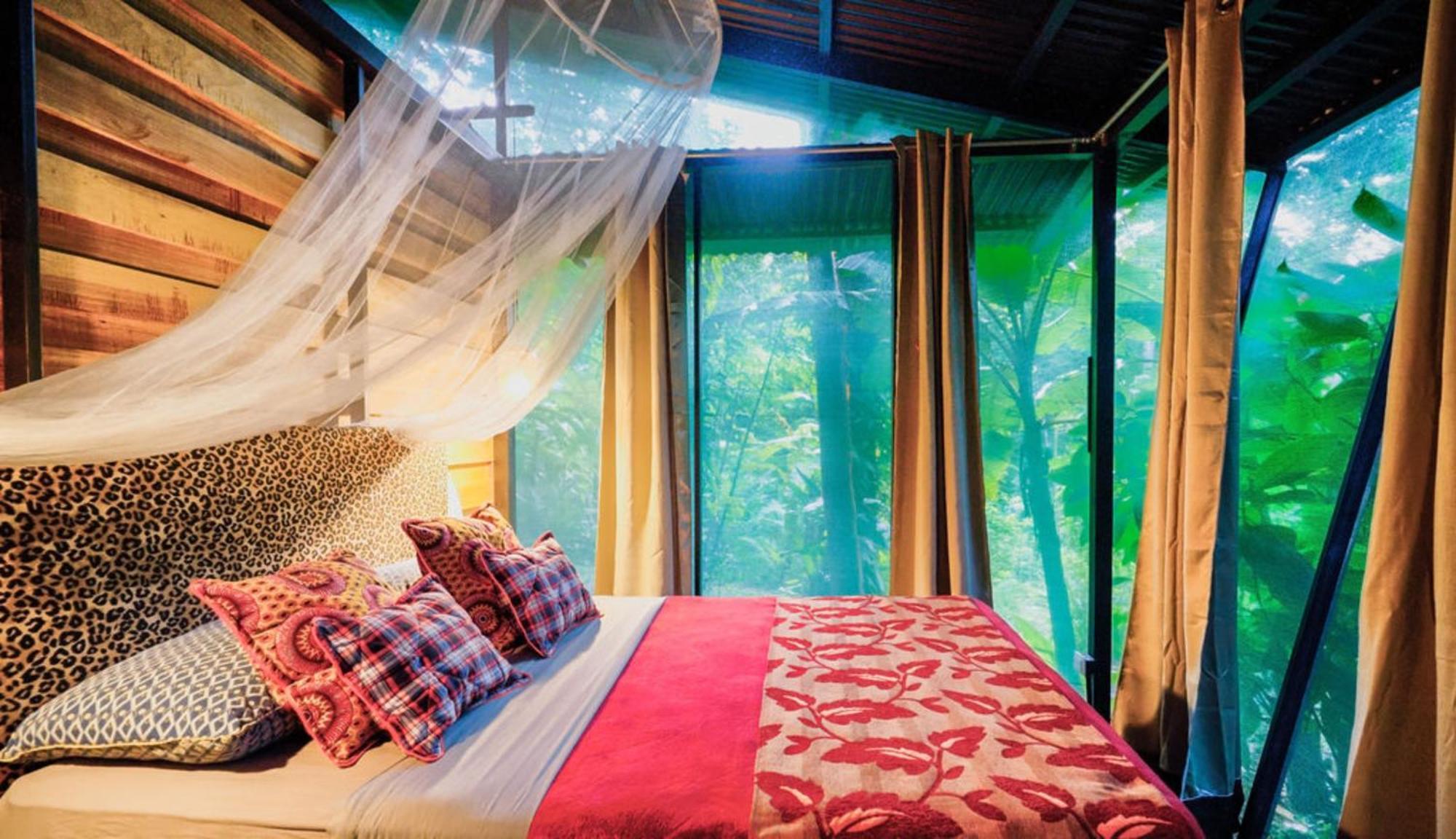 La Shamana - Ecological Concept In Jungle Villa Cahuita Cameră foto