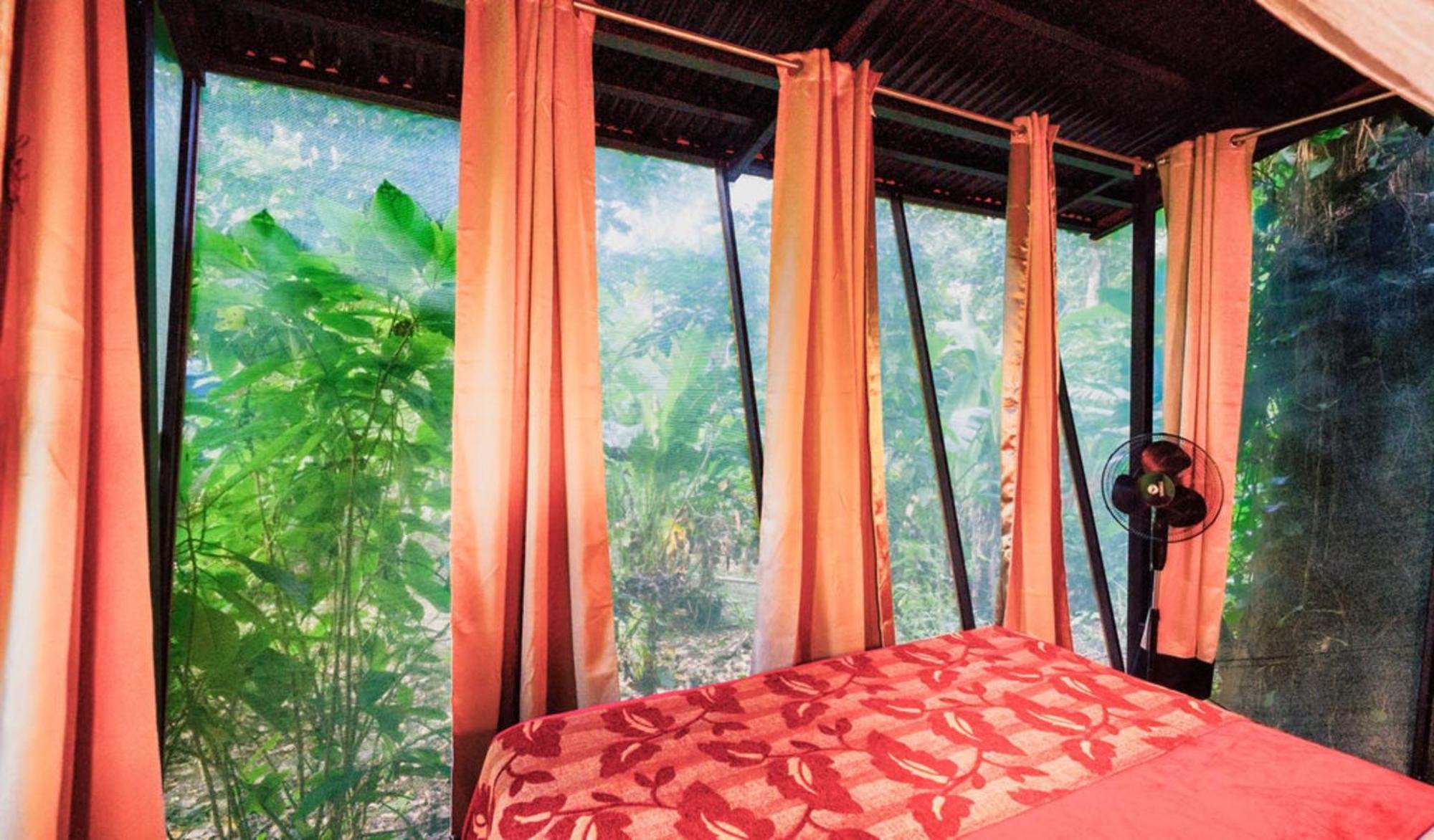 La Shamana - Ecological Concept In Jungle Villa Cahuita Cameră foto