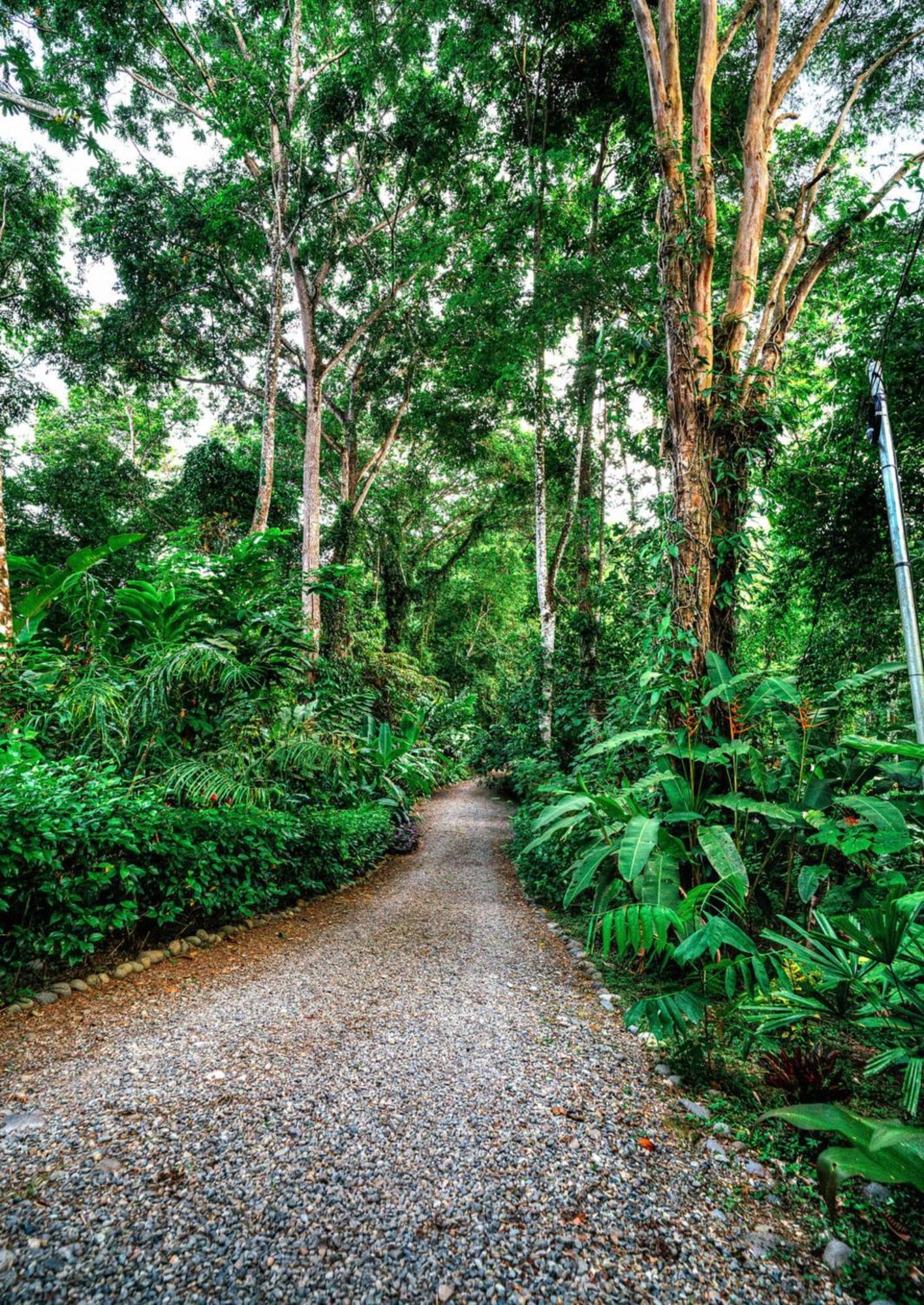 La Shamana - Ecological Concept In Jungle Villa Cahuita Exterior foto